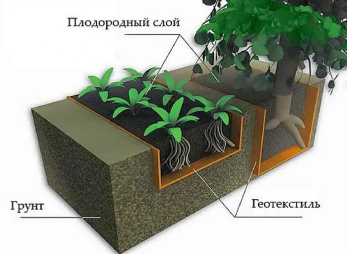 геотекстил за корени