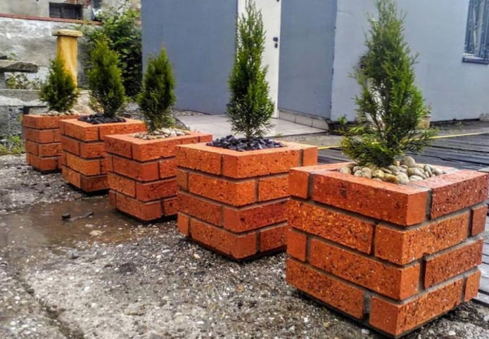 Тухлени саксии