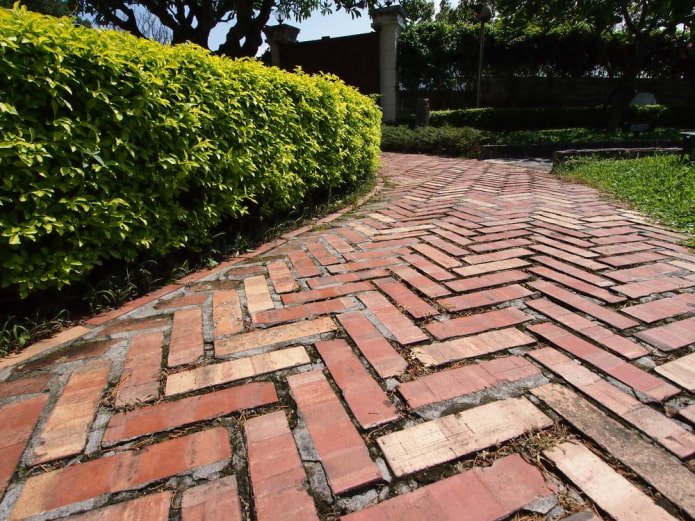 Path 