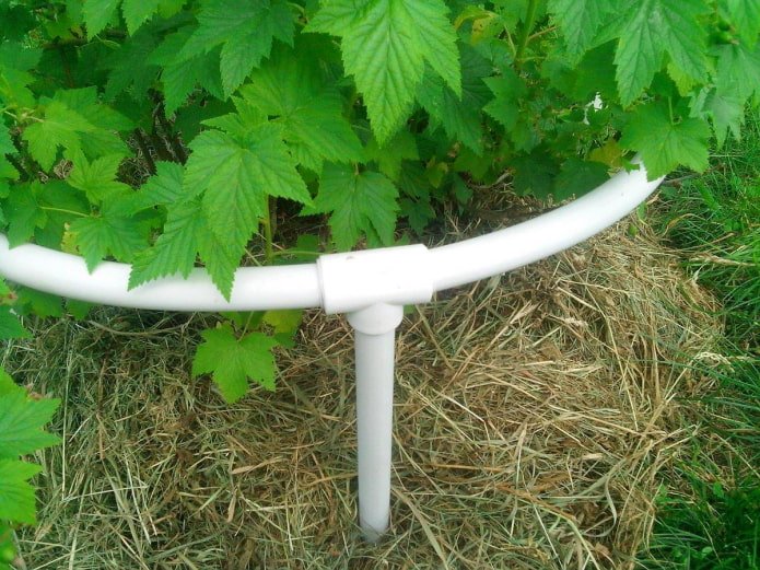 подпори за храсти