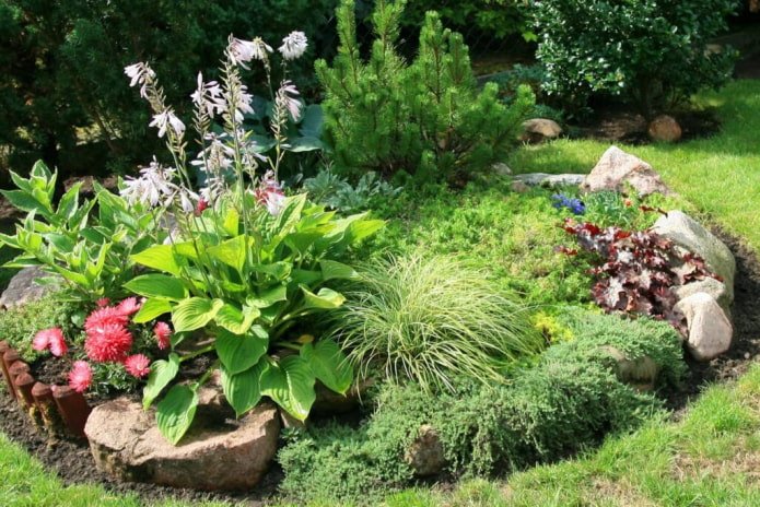 rockery