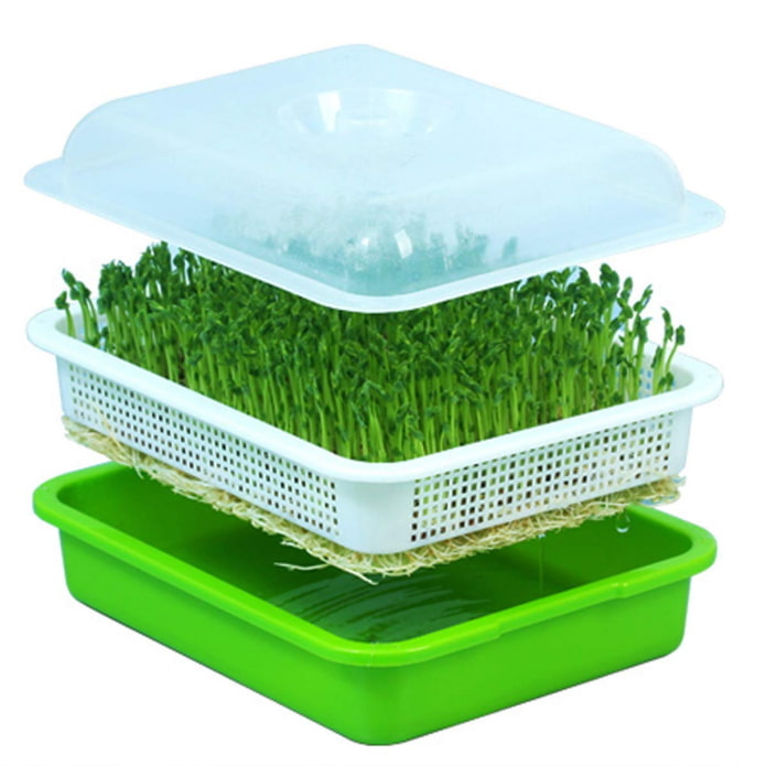 seed spouter