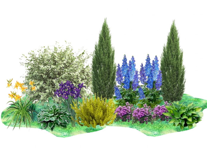 mixborder схема
