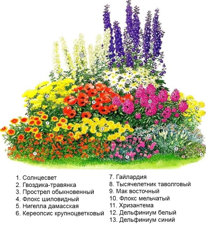 жълти цветя в цветна леха
