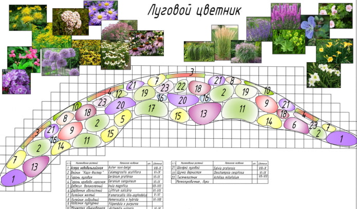 миксбордер от ливадни цветя