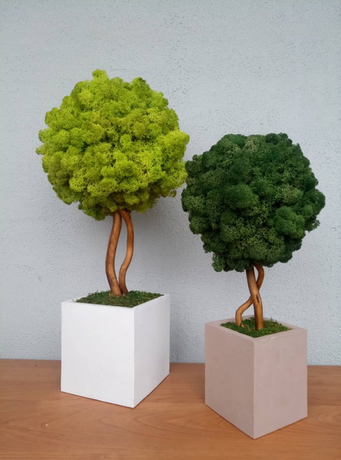 moss topiary