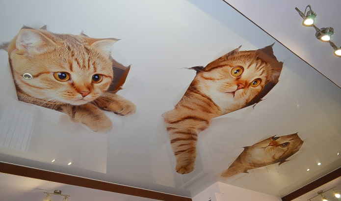 таван с котенца