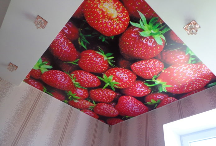 двустепенна опъваща конструкция с фотопечат