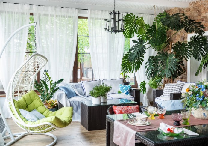 Monstera на верандата