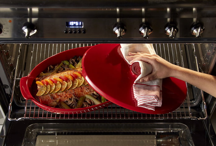 ceramic roaster