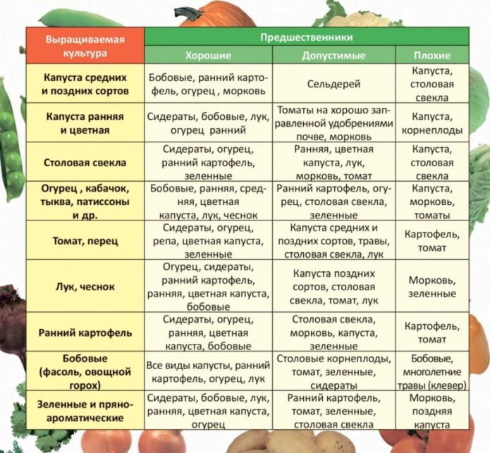 таблица за сеитбооборот