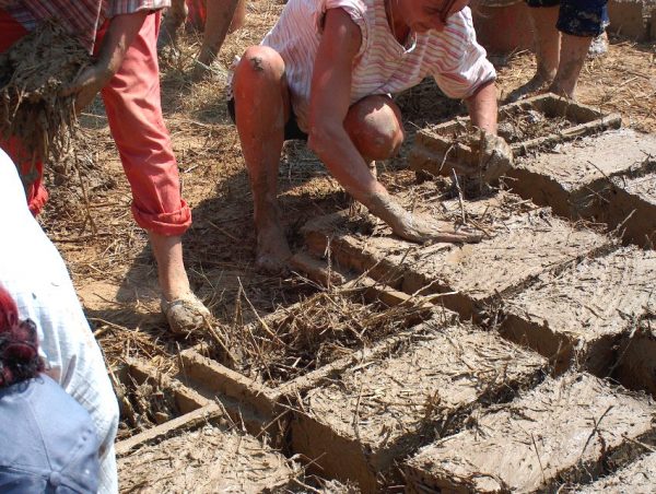 Будівельні блоки для будинку з аналізом переваг та обмежень
