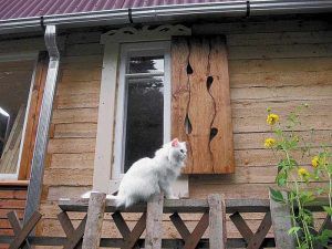 Тканина віконниць зістарена