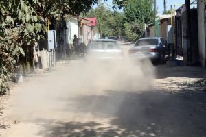 Пилок і пил