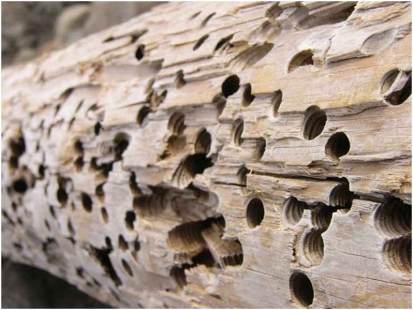 Обшивка будинку імітацією бруса з покроковим розбором робіт