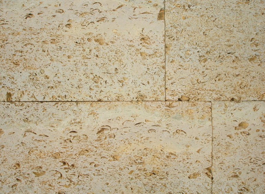 Дагестанський черепашник