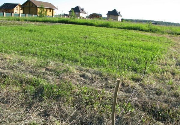 Ще фото процесу