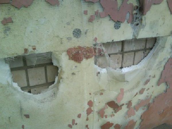 Миші прогризли утеплювач