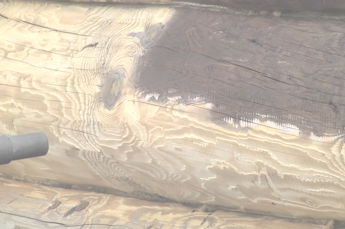 Очищена біла колода деревини