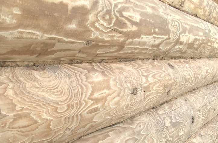 Очищені колоди