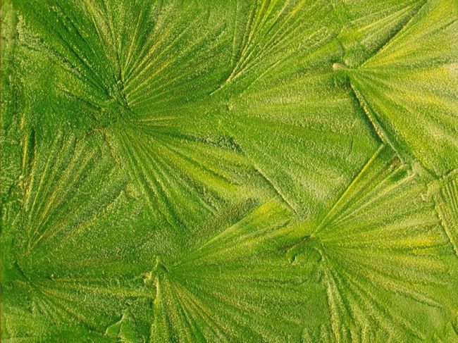 Оригінальний візерунок на зеленій текстурній фарбі