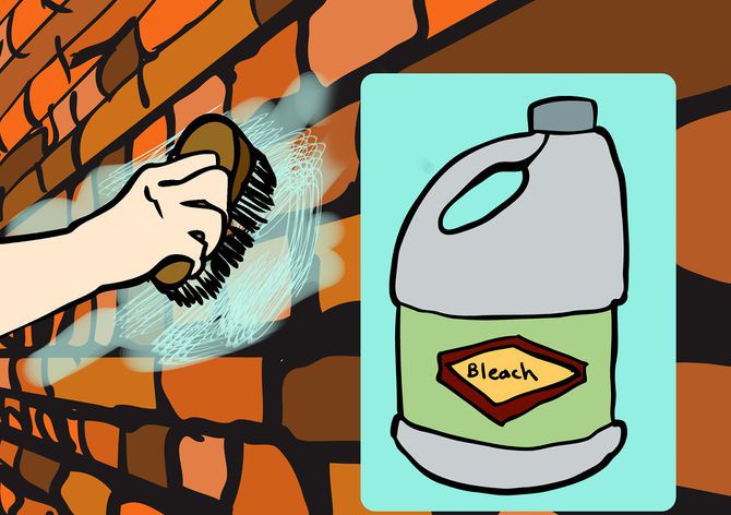 Видаліть цвіль зі стін за допомогою розчину відбілювача та води.