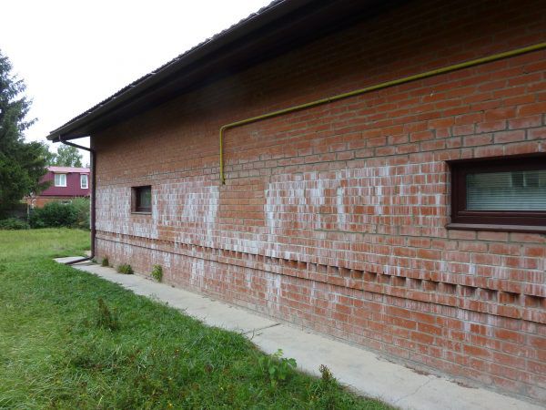 Вицвіття на цегляній стіні