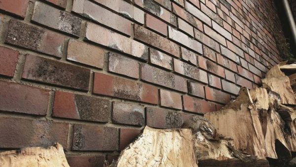 Клінкерна обшивка. Вік цього будинку більше 30 років. Блоки просто вкриті пліснявою, місцями є сліди висолів. Все це можна усунути розчином кислоти.