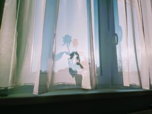 Как да перете тюл в автоматична пералня: температура, режим и тайни на снежнобял тюл