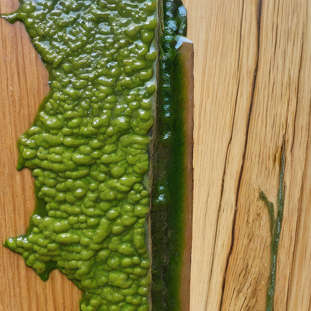 Sunny deck space planning